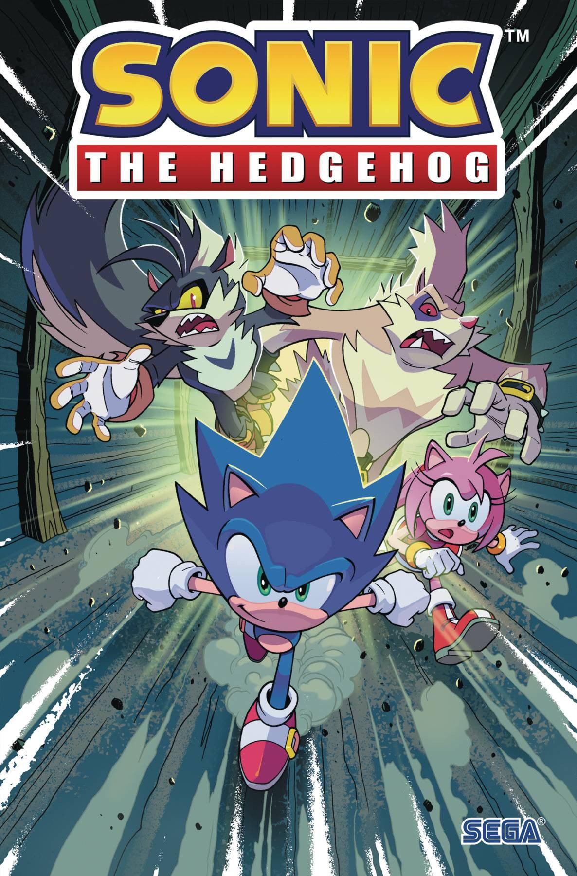 Sonic The Hedgehog 2 (Walmart Exclusive) (Blu-ray)(IDW Comic Book) 