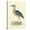 Canvas, variant on Art.com Vintage Night Heron Art Print by Morris, 12" x 16"