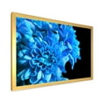 thumbnail image 2 of Designart 'Detail of Blue Flowers On Black Background I' Traditional Framed Art Print, 2 of 4