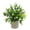 Green4, variant on Spring Fake Plants, Artificial Tropical Small Pot Green Plants Indoor Office Table Kitchen Bathroom Home Decor, Semi Spherical Pulp Bonsai for Farmhouse Office Tabletop Decor, 1Pc(Green3,3x3x9.8")