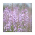 thumbnail image 2 of Gango Home Decor Fireweed II by Kathy Mahan (Printed on Paper); One 24x24in Fine Art Paper Giclee Print, 2 of 4