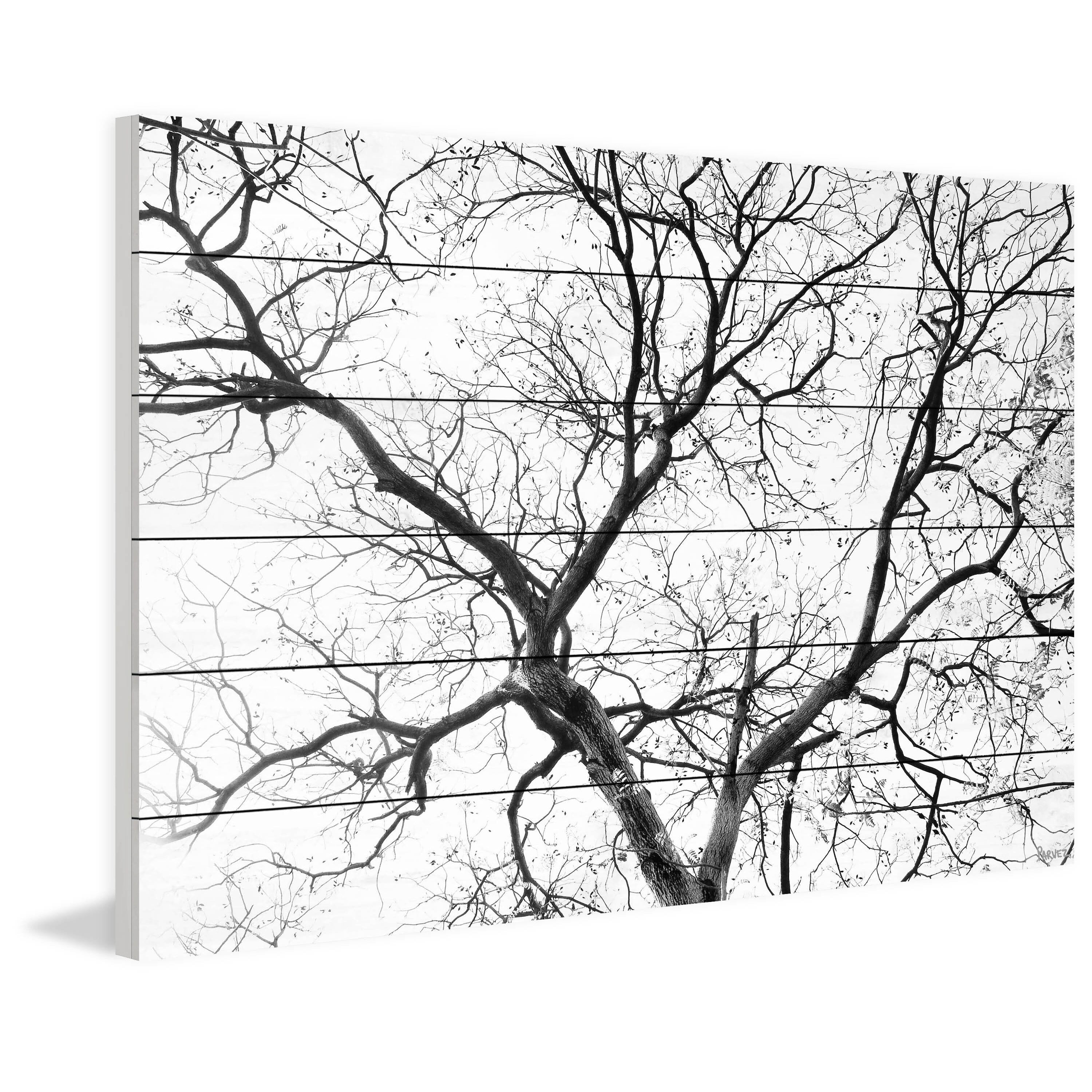 Parvez Taj Pt-Wnpw- 111 - Ww - 45, 30" x 45" "Black Branches" Art Print On White Wood