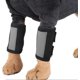 thumbnail image 2 of Pet Kneepad, 1 Pair Dog Front Leg Braces Carpal With Safety Reflective Straps For Dogs With Arthritis And Injuries(l), 2 of 5