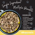hotspot pets Freeze Dried Chicken Liver Treats for Cats & Dogs 1LB Big