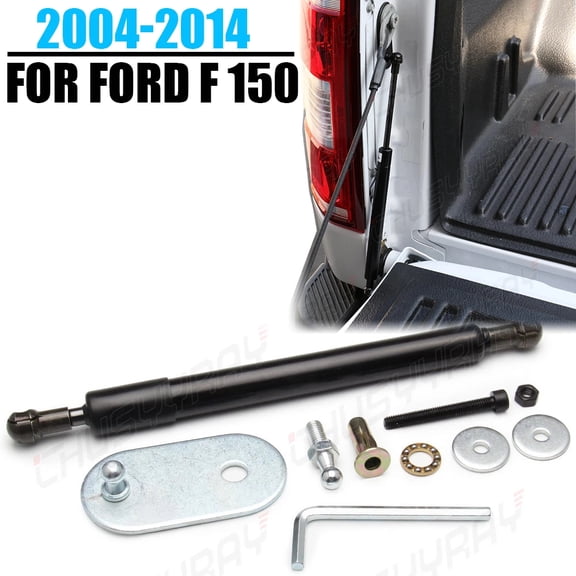 CHUSYYRAY DZ43200 Dee Zee Tailgate Assist for Ford F 150 Truck for Lincoln Mark LT 2006-2008