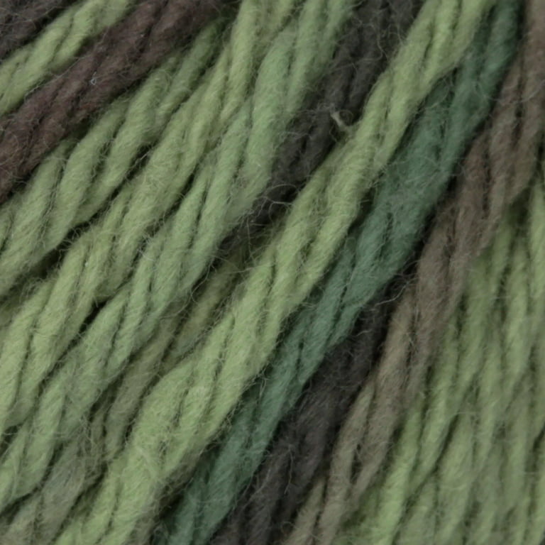 Spinrite Sugar'n Ombres Super Size Cream Yarn, Wooded Moss