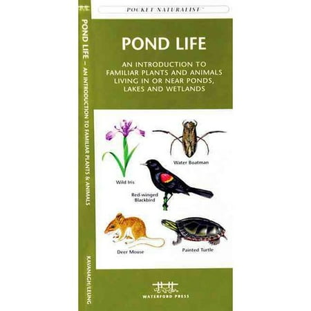Pond Life A Folding Pocket Guide To Familiar Plants