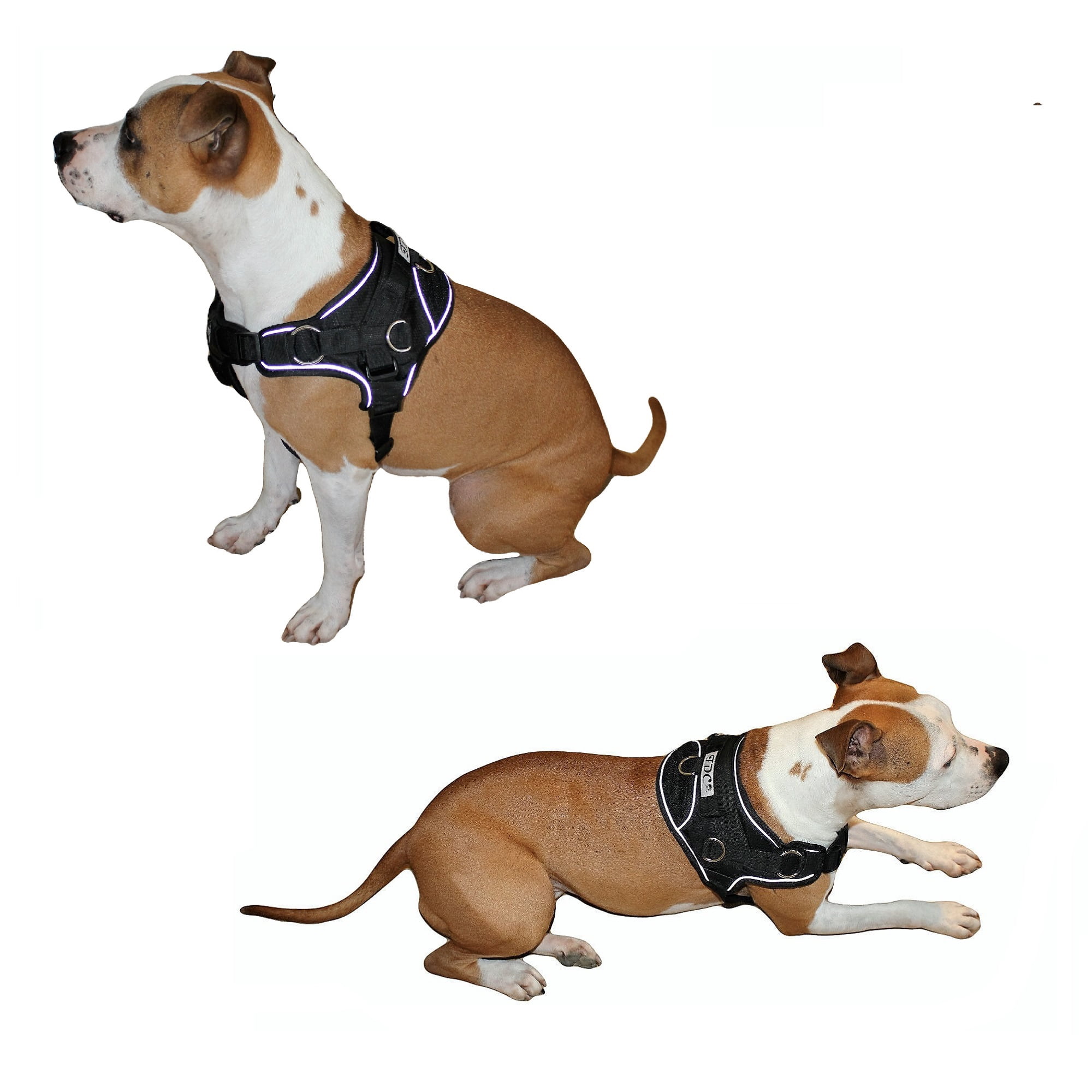 Durable Heavy Duty Padded No-Pull Dog Harness Handle Reflective Black Sz Medium (chest 18" - 22")
