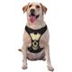 thumbnail image 1 of Fotbe Gothic Winged Skull Arnés para Perro con Estampado –Chaleco Ajustable Acolchado con Asa de Control para Perros Grandes-Small, 1 of 6