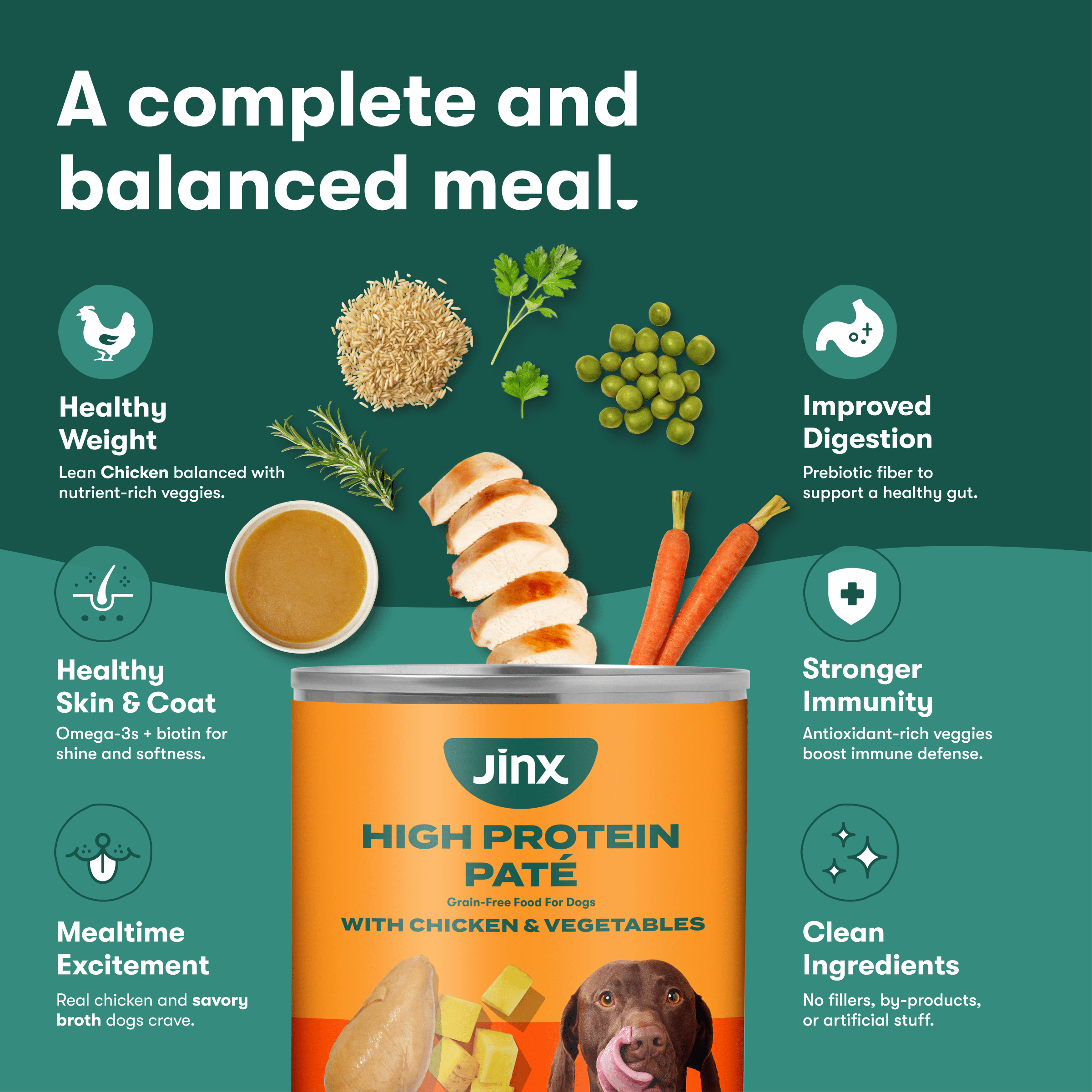 (6 pack) Jinx Pate with Chicken & Vegetables Natural Wet Dog Food, Grain Free, 13 oz Can