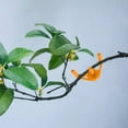 thumbnail image 2 of Adjustable Plant Bending Device - Ideal For Hydroponic Growth, Adjustable Plant Bending Clips for Low-Stress Training – Ideal for Hydroponics and Garden Growth, Set of 20 for Optimal Support, Orange, 2 of 5