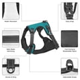 thumbnail image 6 of Lsque Blue Green Glitter Dog Harness, No-Pull Pet Harness with 2 Leash Clips, Adjustable Soft Padded Dog Vest with Easy Control Handle for Large Dogs-Large, 6 of 9