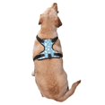 thumbnail image 2 of Naloa Blue Popcorn Pet Harness Vest with Traction Rope, Adjustable No-Choke Dog Vest for Outdoor, Walking - Medium, 2 of 4