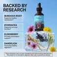 thumbnail image 3 of Organic Lymphatic Drainage Supplement | Lymphatic Support Drops | Burdock Root Echinacea Elderberry Dandelion Astragalus Milk Thistle Sea Moss Red Clover Cleanse Marigold Drop By Clean Nutra, 3 of 9
