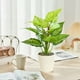 thumbnail image 5 of Artificial Potted Plants Realistic Simulation Green Plants Indoor Home Desk Bookshelf Decor Faux Greenery Decorative Houseplants for Living Room Office, 5 of 6