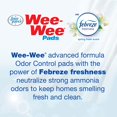 thumbnail image 3 of Pee Pads Four Paws Wee-Wee, antiolores, para perros, 22 x 23 cm, 50 unidades, 3 of 9