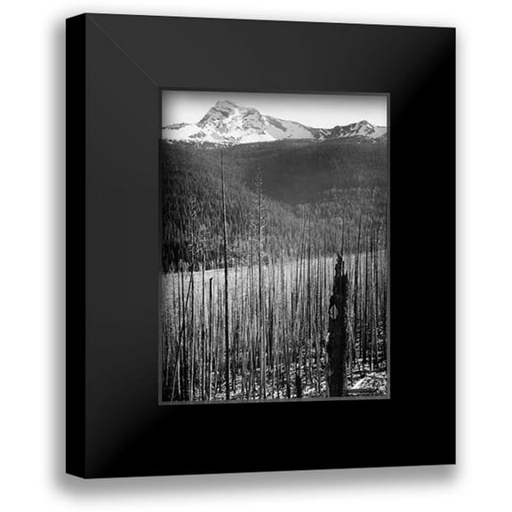 Adams, Ansel 11x14 Black Modern Framed Museum Art Print Titled - Burned Area, Glacier National Park, Montana - National Parks and Monuments, 1941
