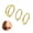 Gold-3 pcs/16g 10mm, variant on 3Pcs Double Hoop Nose Rings Set, 16G 316L Stainless Steel Septum Clicker Hoops, Cubic Zirconia Cartilage Earring for Helix Rook Tragus Daith Lip Piercing