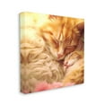 thumbnail image 4 of Stupell Industries Sleeping Orange Cats Animals & Insects Painting Gallery Wrapped Canvas Art Print Wall Art, 36 x 36, 4 of 8