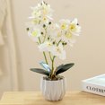 thumbnail image 4 of Película de impresión 3D, doble tenedor, phalaenopsis, bonsái, decoración del hogar, simulación de plantas en macetas, 4 of 5