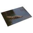 thumbnail image 3 of Print: Gator Alley At The D'olive Boardwalk Park In Daphne, Alabama, Is, 3 of 4
