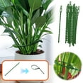 thumbnail image 3 of Qaailabf 30pcs Adjustable Garden Plant Zip Ties - 17cm Length | Soft Flexible Polypropylene Material | Multipurpose Cable Organizer | Flower & Vegetable Support, 3 of 10