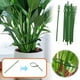 thumbnail image 4 of Xihbxyly Bridas de Jardín, Correas Flexibles para Sujetar Plantas, Longitudes Ajustables para Mayor Estabilidad, Suaves Pero Resistentes para Una Sujeción Segura, Multiusos para Casa, Oficina y Jardí, 4 of 7