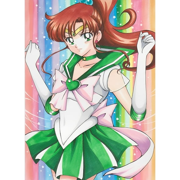 Paint by Numbers Kits for Adults -Sailor Moon (22) - Beginners Digital Oil Paint by Number for Adults Easy Canvas for Home Wall Decoration and Gifts 16X20 inch-