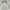 Ivory/Turquoise, variant on Nourison Tranquil Damask Navy/Light Blue 2' x 4' Area Rug, (2x4)