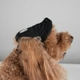 thumbnail image 6 of BT Bear Dog Hat with Ear Holes, Dog Baseball Mesh Cap, Adjustable Summer Travel Sport Hat For Small Medium Dogs Black XL, 6 of 6