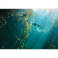 thumbnail image 2 of wall26 - Small Shark in The Ocean with Amazing Light Ray - Removable Wall Mural | Self-Adhesive Large Wallpaper - 66x96 inches, 2 of 6
