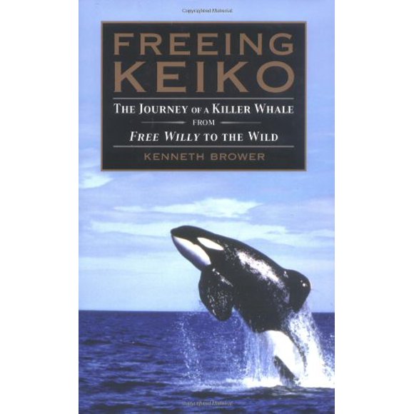 Freeing Keiko: le Voyage d'Un Orque de Free Willy à l'Épreuve de la Nature