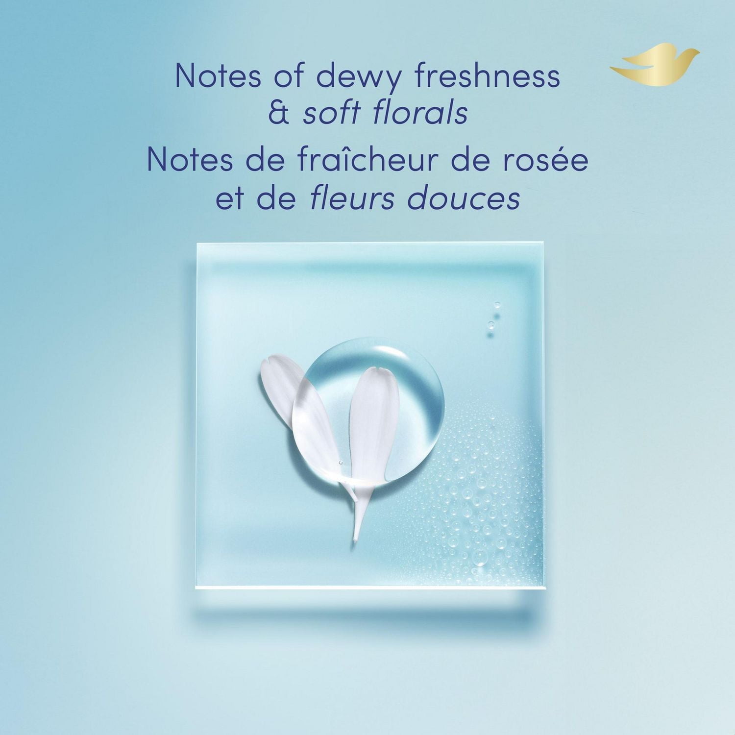 Nettoyant Corporel Dove réparation de la peau sèche 2T-5T