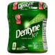Dentyne Ice Menthe verte, gomme sans sucre, 1 flacon (60 morceaux) Xbox – image 4 sur 10