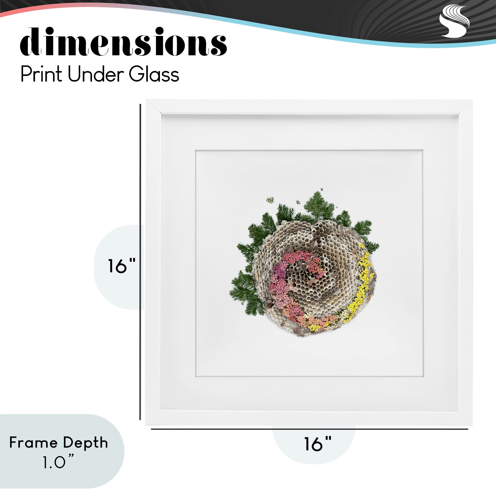 Stupell Industries Honeycomb with Botanicals White Framed Print Under Glass, design by Beth Adoette