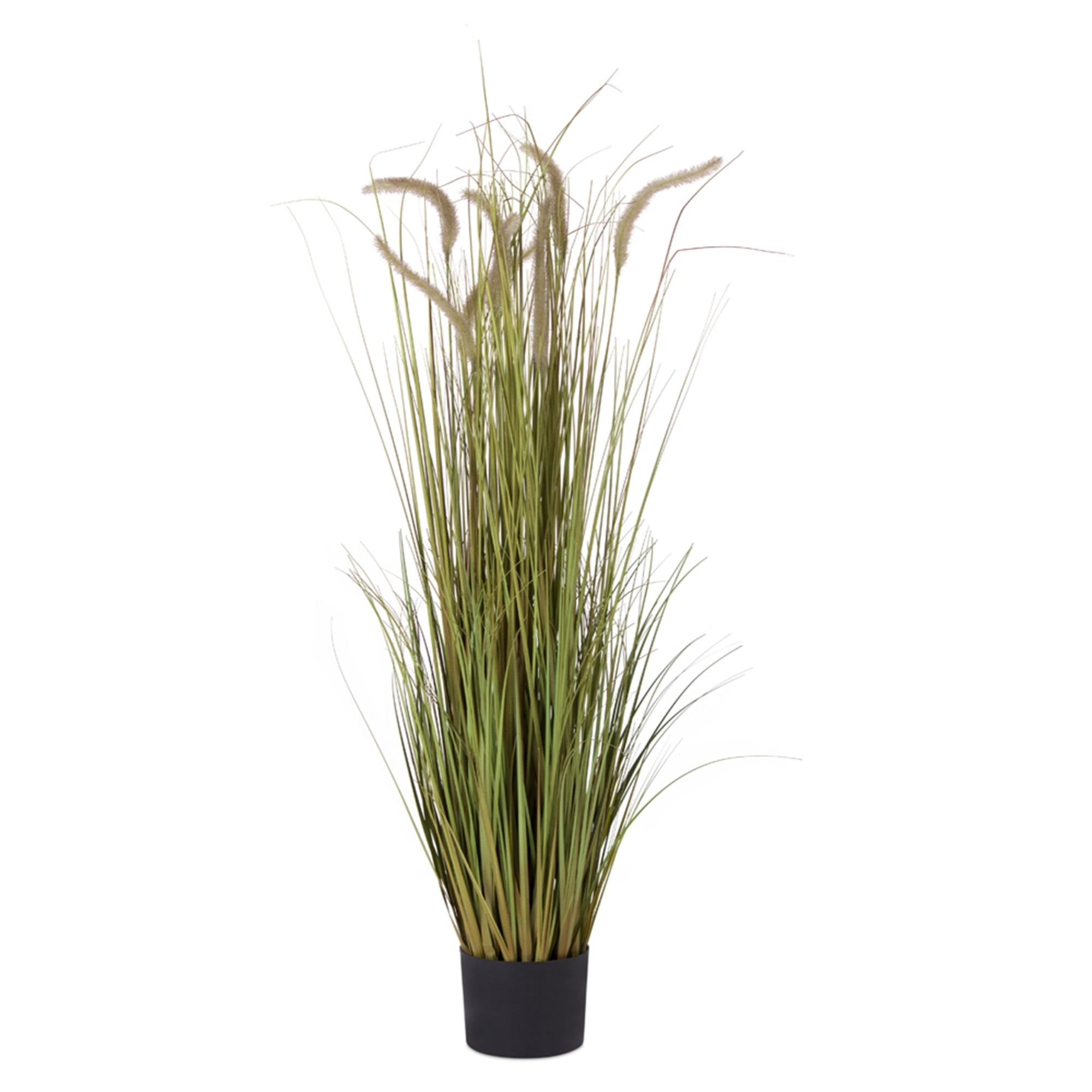 Potted Grass/Dogtail (Set of 2) 48"H PVC/Plastic