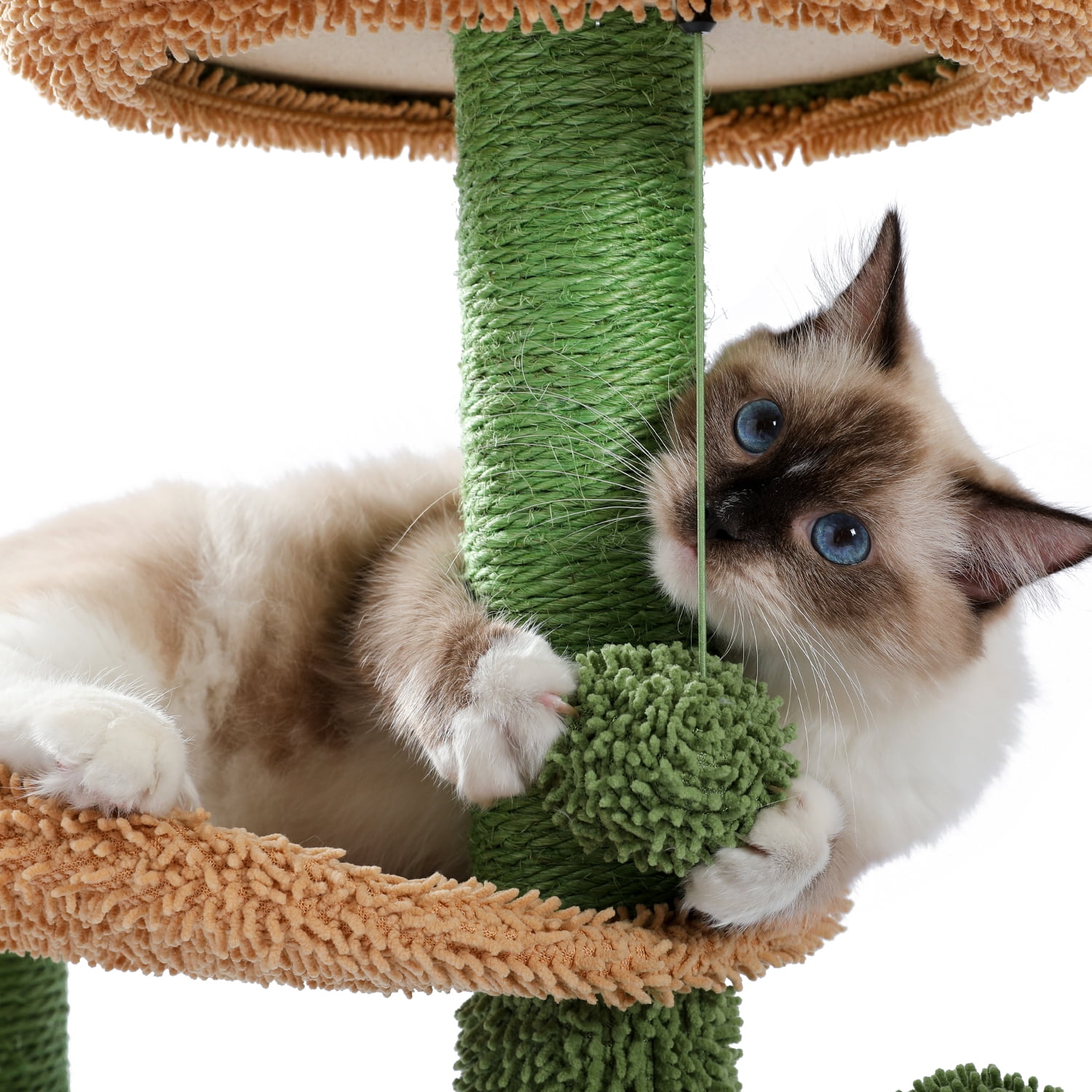 Pefilos Cactus Cat Tree for Adult Cats Cat Tower with Warmy Cat Condo for Senior Cats, Plush Perches, Sisal Scratching Post and Fluffy Balls for Small and Medium Cat Tree for Indoor Cats Pefilos Cactus Cat Tree for Adult Cats Cat Tower with Warmy Cat Condo for Senior Cats, Plush Perches, Sisal Scratching Post and Fluffy Balls for Small and Medium Cat Tree for Indoor Cats