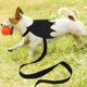 thumbnail image 4 of Pet correa para gato correa de cofre de gato sorteo chaleco de perro arnés de rosa collar rosa correa de pecho suministros para mascotas para helloween (color de botón aleatorio), 4 of 5
