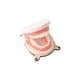 thumbnail image 5 of Modelo de cepillado de dientes de vida práctica Montessori, tablero sensorial, habilidades básicas para la vida, piezas de tablero ocupado de juguete CUTICAT tablero ocupado, 5 of 8