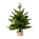 thumbnail image 3 of Adorno de Navidad BLESIY Estatuilla de Árbol de Navidad Coleccionable, 3 of 8
