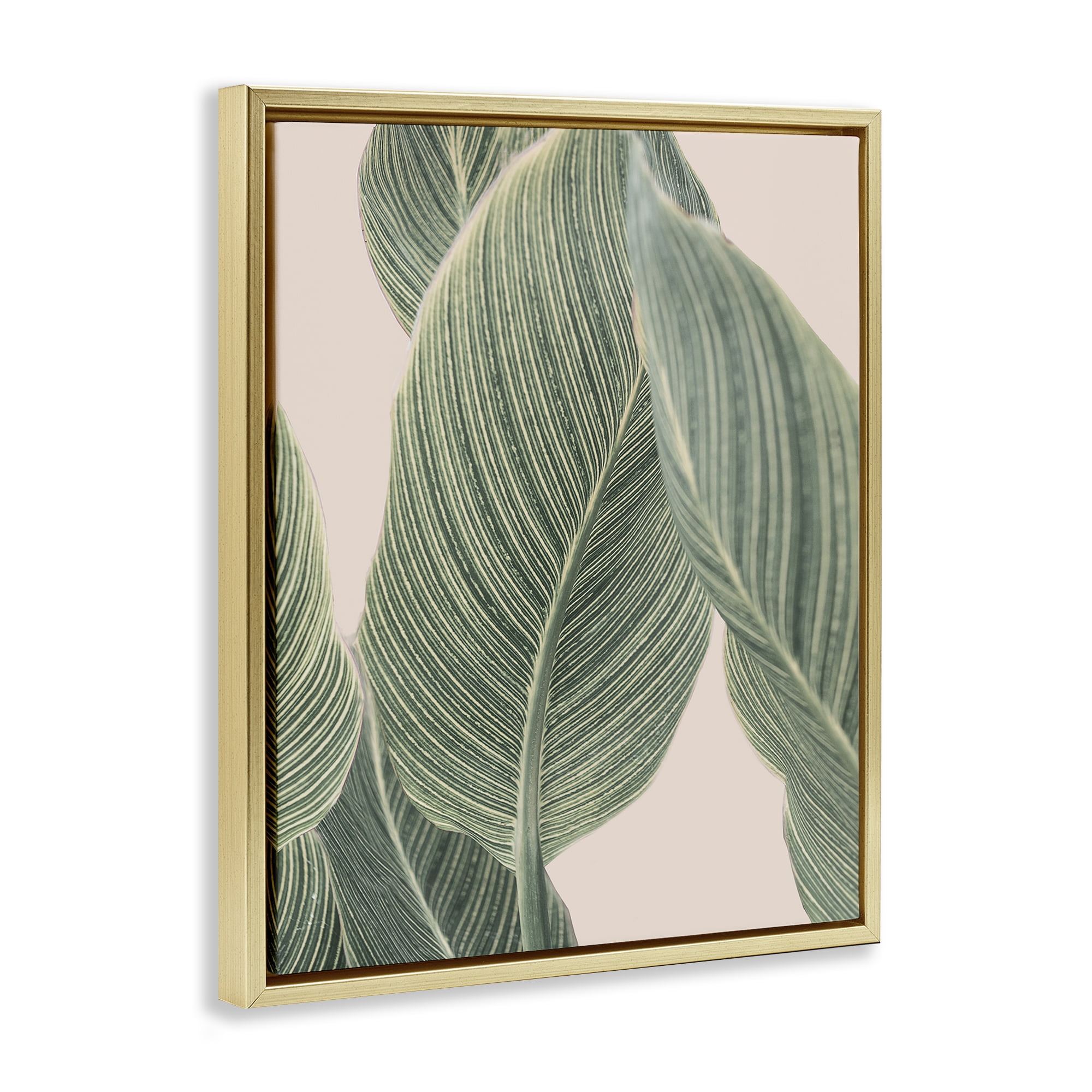 Stupell Industries Curled Green Leaves Plants & Flowers Painting Gold Floater Framed Canvas Art Print Wall Art, 17 x 21