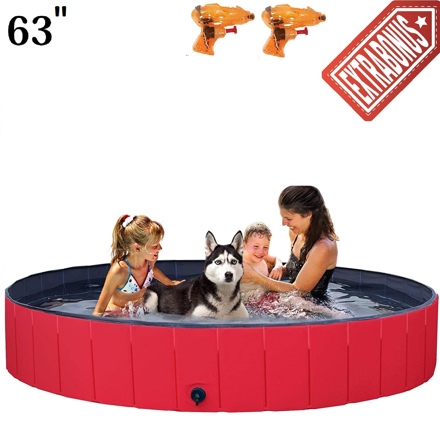 kiddie dog pool