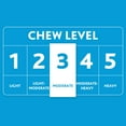 thumbnail image 5 of Vibrant Life Medium Blue Durable Rubber Dog Bone with Squeaker, Chew Level 3, 5 of 11