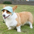 thumbnail image 5 of Gorra de béisbol Symphonyw para perros, grande, verde, con orificios para las orejas, 5 of 5