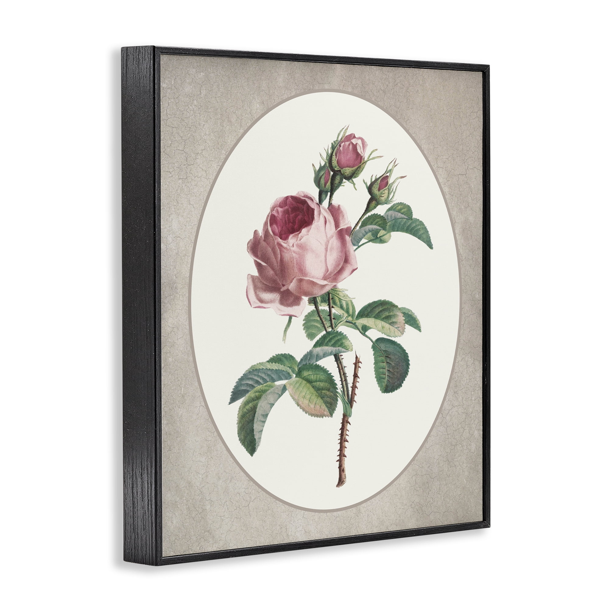 Vintage Rose within Oval Black Framed Giclee Art, design by Lettered and Lined