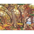 thumbnail image 1 of Monterey Cypress 1-Bischoff - CANVAS OR FINE PRINT WALL ART, 1 of 1