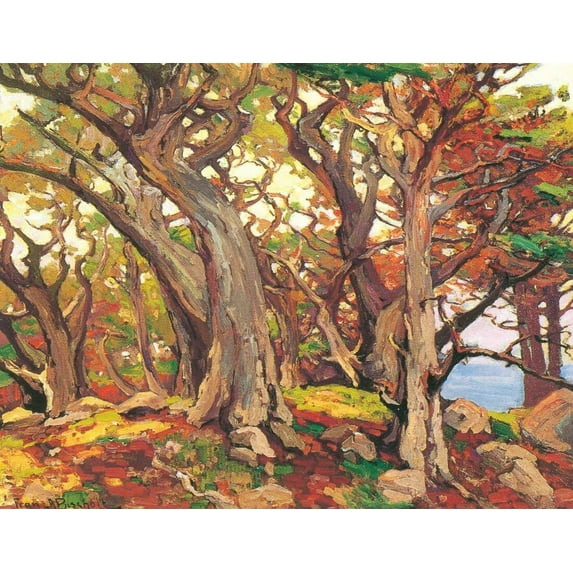 Monterey Cypress 1-Bischoff - CANVAS OR FINE PRINT WALL ART
