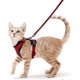 thumbnail image 1 of Escape Proof Soft Adjustable Vest Harnesses For Cats, Easy Control Reflective Strips, Pink, 1 of 5