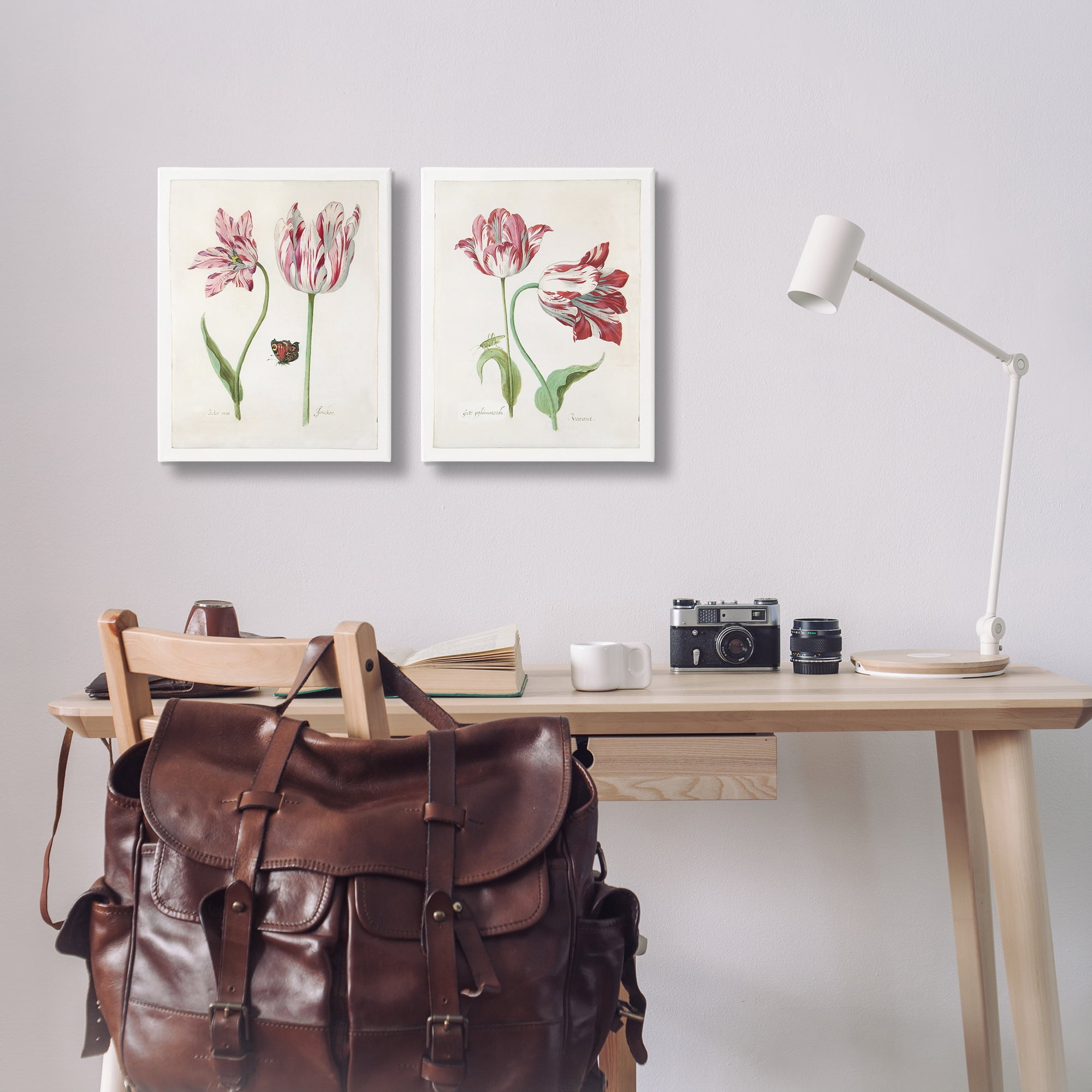 Stupell Industries Vintage Tulip & Insect Studies Floral & Botanical Painting Wrapped Canvas Art Print Wall Art, 16 x 20, Set of 2