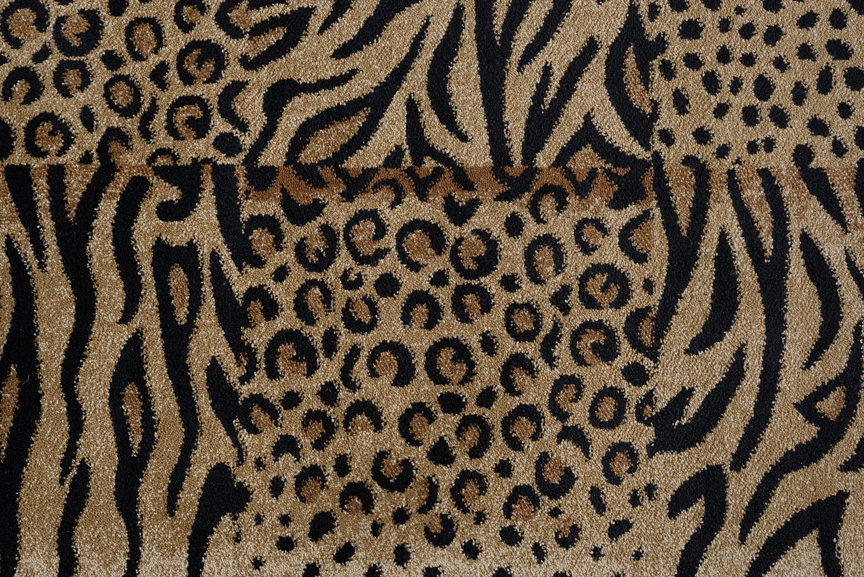 Festival Contemporary 5' x 7' Beige and Black Polypropylene Indoor Area Rug